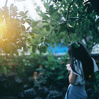 剑痕无影的头像